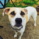 deathdayparty avatar