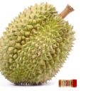 debatablyspicydurian avatar