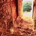 deborahannwoll-daily avatar