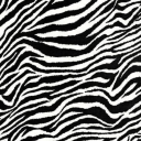 decaffeinatedduckshark avatar