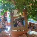 decayinggothbaby avatar