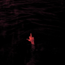 decayingmycelium avatar