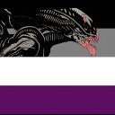 decepticondragon avatar