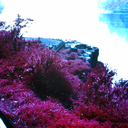 decomposure-art avatar