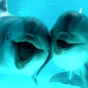 deep-in-the-ocean avatar