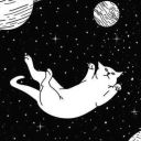 deep-space-kitty avatar