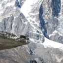 deepbluecomputer avatar