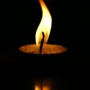 deepestcollectionbouquet avatar