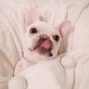 deepestscissorswombatgarden avatar