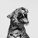 deepharmonyflower avatar