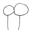 deeznuts-anon avatar