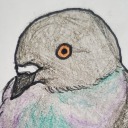 defiantbird avatar