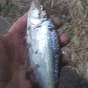 delettando-blog avatar