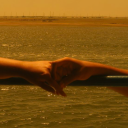 delicatemusicwitch avatar