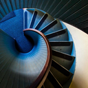 delicateobservationenthusiast avatar