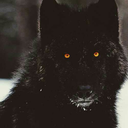 deliciouslyloudtraveler avatar