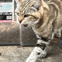 deliciousrebeltrashchronicals avatar