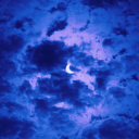 delightedprince avatar