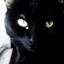 delightfullydangerousperson avatar