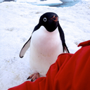 delphiineee-blog avatar