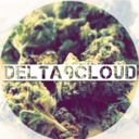 delta9cloud avatar