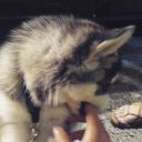 delusional-yet-rational avatar