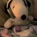 delusiontowns avatar