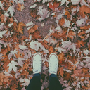 demonios-iluminados avatar