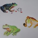 demonroo-arts avatar