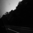 depressed-little-bird avatar