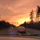 depressedlord avatar