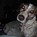 depressingegocentric avatar