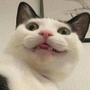 depressoespresso69 avatar