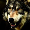 depths-of-destruction-blog avatar