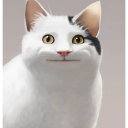 derp-the-churro avatar