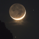 designatedgaslight avatar