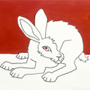 desolate-hare avatar