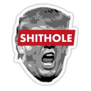 despicabletrump avatar