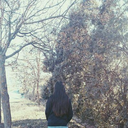 destruction-is-a-way-of-creation avatar