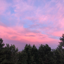 devils-pancakes avatar