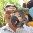 devils97-blog avatar