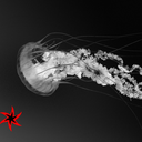 diamondsinthedarkuniverse avatar