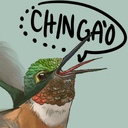 dibujosdelcolibri avatar