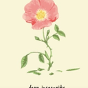 dietcokeismylifehehe avatar