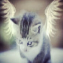 digitalgirl0001 avatar