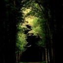 digitallunatik avatar