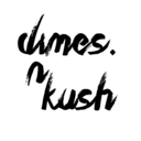 dimesnkush avatar