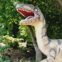 dingusdongusdingus avatar