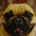 dinkaapelsinka avatar