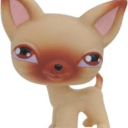 dinner-dragon avatar